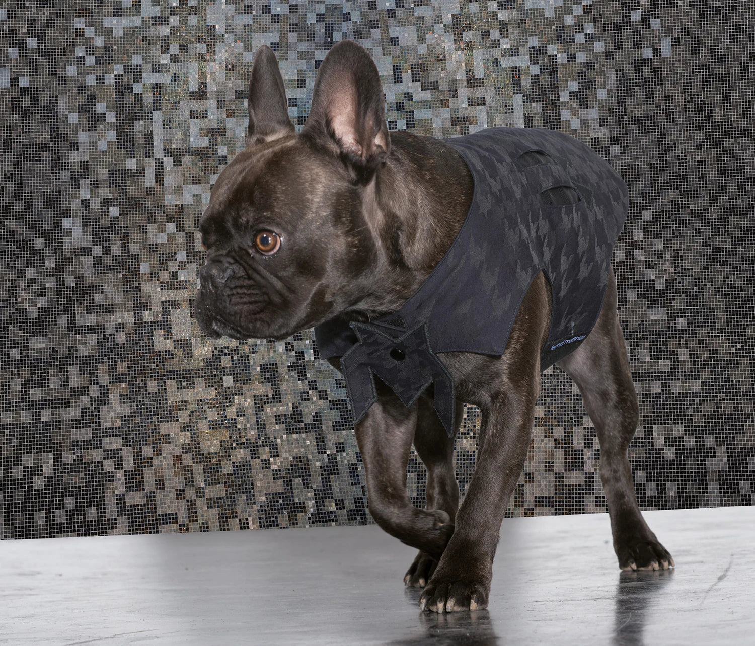 Hundejacke "Sunny"